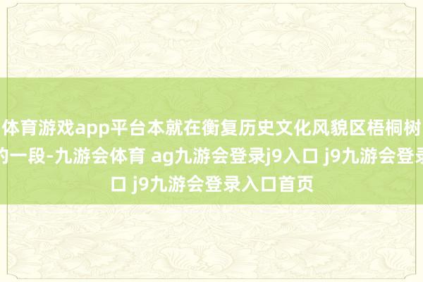 體育游戲app平臺(tái)本就在衡復(fù)歷史文化風(fēng)貌區(qū)梧桐樹(shù)蔭最濃密的一段-九游會(huì)體育 ag九游會(huì)登錄j9入口 j9九游會(huì)登錄入口首頁(yè)